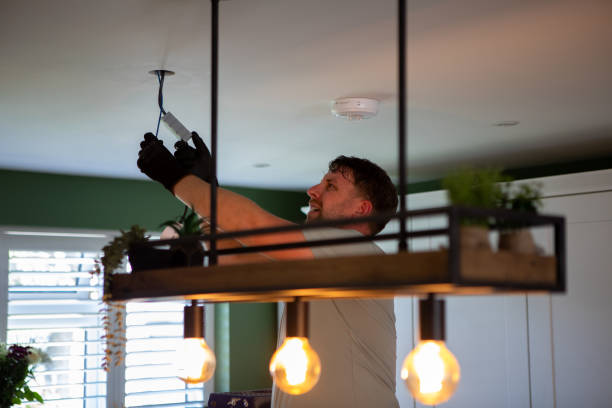 Best Outdoor Lighting Installation  in South Floral Park, NY